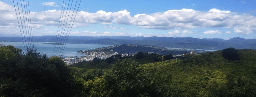The golden triangle of Transient, Highbury Fling and Clinical Summary Polhill Reserve is based in Wellington’s Aro Valley