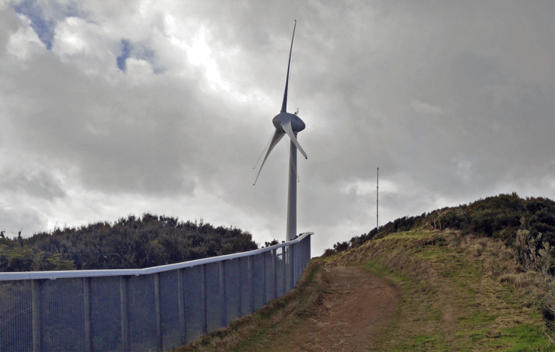 05-Extended-fenceline2