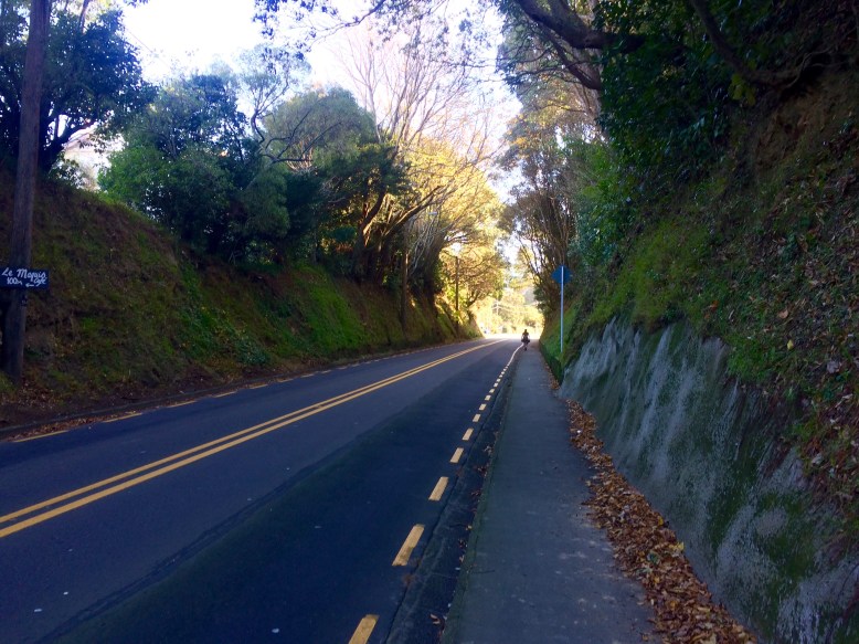 File 20-06-16, 4 51 05 PM.jpeg