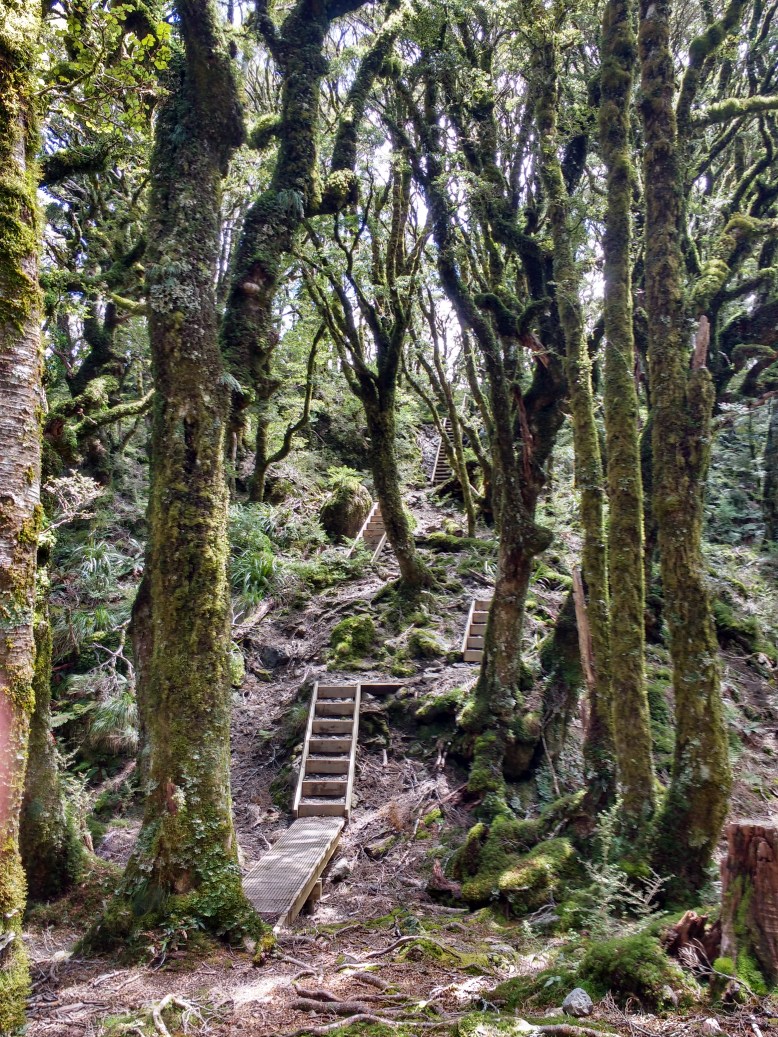 Stairs up to Powell or down from Powell - depending on what direction you choose
