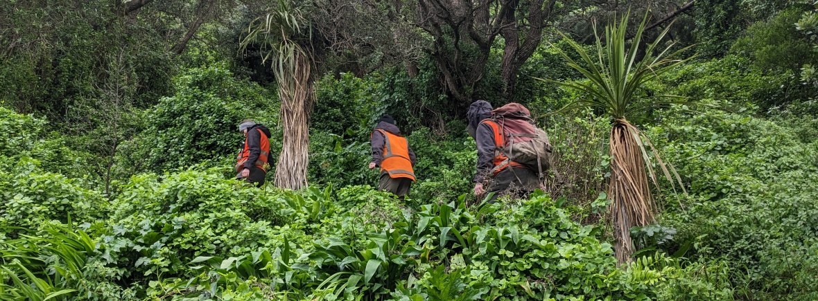 Field team in Breaker Bay